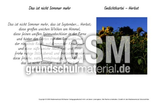 Das-ist-nicht-Sommer-mehr-Flaischlen.pdf